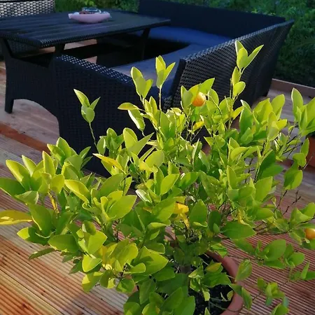 Appartement Ferienwohnung Wettin