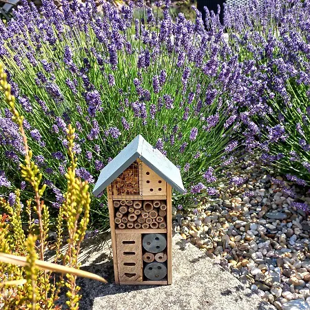 Ferienwohnung Wettin Апартаменты