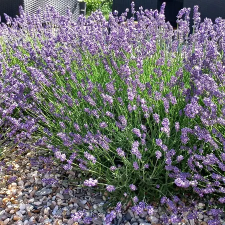 Ferienwohnung Wettin