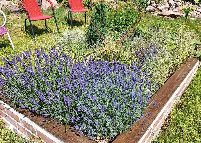 Ferienwohnung Wettin Apartment *