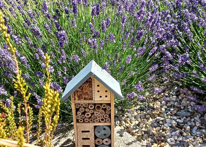 Ferienwohnung Wettin Apartment