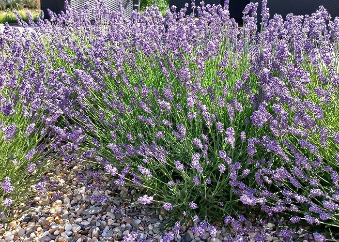 Ferienwohnung Wettin