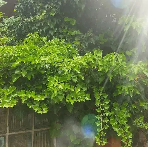 Ferienwohnung Wettin Wettin